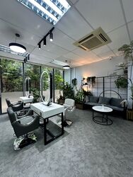 The Mezzo (D12), Shop House #502696391